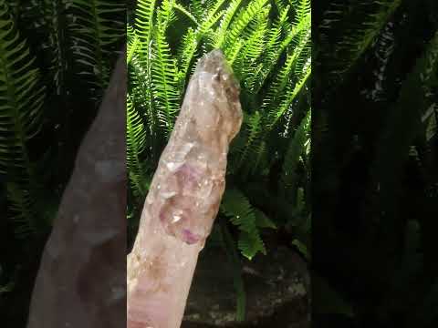 Natural Long Skeletal Smokey Amethyst Sceptre Finger Quartz x 1 From Chiredzi, Zimbabwe