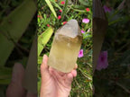 Polished XL Rare Citrine Crystal with Rainbow Veils x 1 From Madagascar