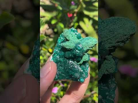 Natural Rare Dioptase with Malachite Pseudomorph Cross Specimen x 1 From Likasi, Congo