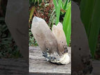 Natural Large Erongo Smokey Quartz Crystal Cluster x 1 From Erongo Mountain, Namibia