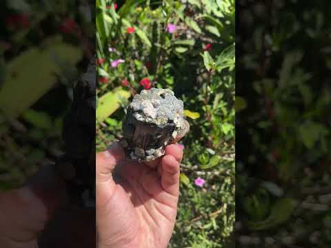 Natural Schorl Black Tourmaline with Multi-Mineral Specimen x 1 From Erongo, Namibia
