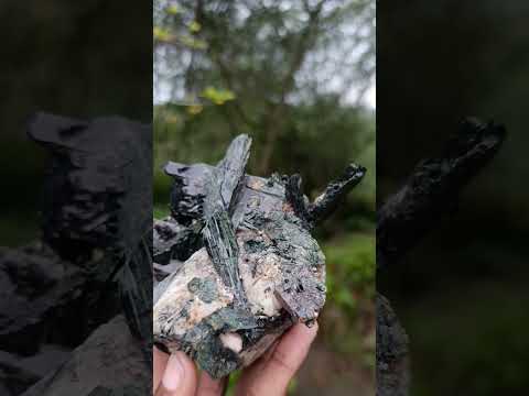 Natural Cabinet Size Aegirine Specimen with Associated Minerals x 1 From Nsanje, Malawi