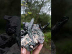 Natural Cabinet Size Aegirine Specimen with Associated Minerals x 1 From Nsanje, Malawi