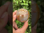 Polished Flower Agate Sphere x 1 From Antsahalova, Madagascar