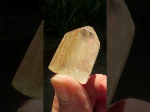 Polished Rare Golden Rutile Clear Quartz Crystal x 1 From Madagascar
