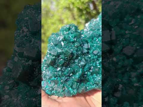 Natural Superb Museum Quality Tantara Mine Dioptase Specimen x 1 From Tantara Mine, Congo
