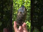 Polished Smokey Window Quartz with Latterite Veils Inside x 1 From Akansobe, Madagascar