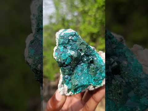 Natural Classic Mashamba East Cabinet Dioptase Specimen x 1 From Mashamba East, Congo