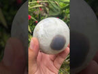 Polished Agate Sphere x 1 From Shashe River, Zimbabwe