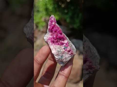 Natural Mixed Set of 12 African Minerals and Crystals in a Wooden Display Box x 1 From Southern Africa
