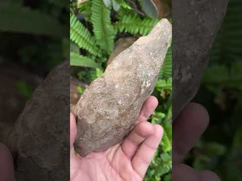 Hand Made Early Stone Age Stone Hand Axe x 1 From Northern Cape, South Africa