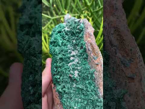 Natural Druzy Coated Stalagmites on Dolomite x 1 From Lupoto Mine, Congo