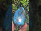 Polished Blue Flash Labradorite Standing Free Form x 1 From Tulear, Madagascar