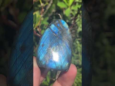 Polished Blue Flash Labradorite Standing Free Form x 1 From Tulear, Madagascar