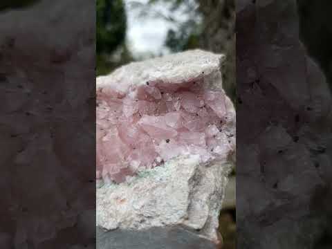 Natural Large Cabinet Size Super Rare Dog Tooth Rhodocalcite Specimen on a Dolomite Matrix x 1 From Mashamba West Mine, Congo