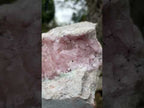 Natural Large Cabinet Size Super Rare Dog Tooth Rhodocalcite Specimen on a Dolomite Matrix x 1 From Mashamba West Mine, Congo