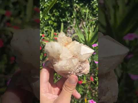 Natural XL Extremely Rare Hollandite Star Quartz Cluster x 1 From Ambositra, Madagascar