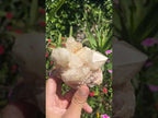 Natural XL Extremely Rare Hollandite Star Quartz Cluster x 1 From Ambositra, Madagascar