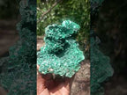 Natural Silky Malachite Vug Cabinet Specimen x 1 From Kasompe, Congo