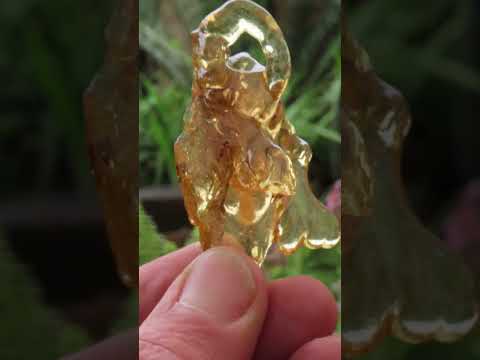 Natural Large Copal Amber Specimen x 1 From Nosy Varika, Madagascar