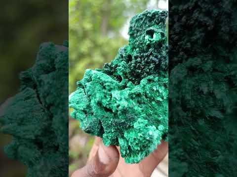 Natural Lustrous Fibrous Silky Malachite Specimen x 1 From Kasompe, Congo