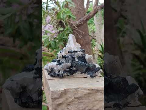 Natural Erongo Schorl Black Tourmaline and Smoky Quartz Specimen x 1 From Erongo Mountain, Namibia