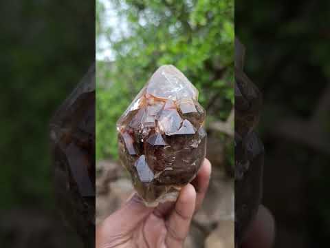 Natural Etched Brandberg Window Smokey Quartz Crystal x 1 From Brandberg, Namibia