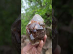 Natural Etched Brandberg Window Smokey Quartz Crystal x 1 From Brandberg, Namibia
