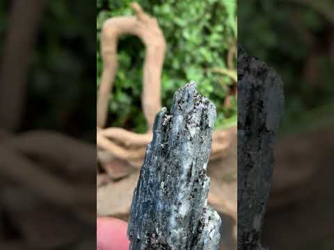 Natural XL Blue Kyanite Specimen x 1 From Karoi, Zimbabwe
