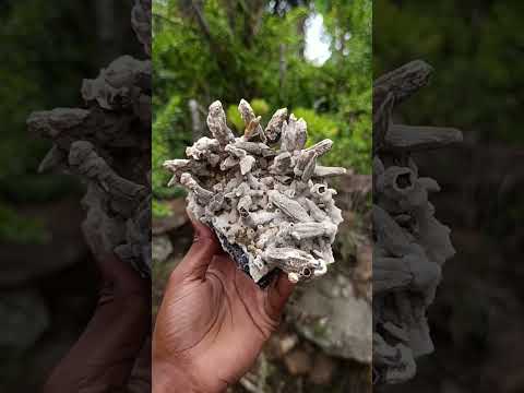 Natural Rare and Classic Lesotho Drusy Coated Spearhead Sceptre Calcite Specimen x 1 From Albert's Mountain, Lesotho