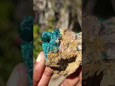 Natural Cabinet Size Dioptase Specimen on Dolomite Matrix x 1 From Mashamba East, Congo