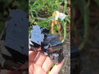 Natural Mirror Shiny Schorl Black Tourmaline Crystal Cluster x 1 From Erongo, Namibia