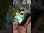 Polished Blue Flash Labradorite Standing Display Piece x 1 From Tulear, Madagascar