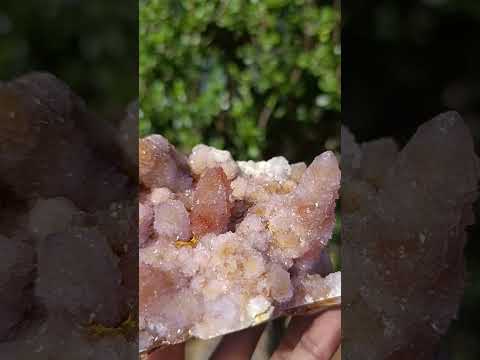 Natural Cabinet Size Spirit Ametrine Cluster x 1 From Boekenhouthoek, South Africa