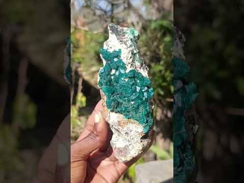 Natural Cabinet Size Dioptase Specimen on a Dolomite Matrix x 1 From Mashamba East, Congo