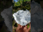 Natural Cabinet Size Blue Celestite Geode Specimen x 1 From Sakoany Madagascar