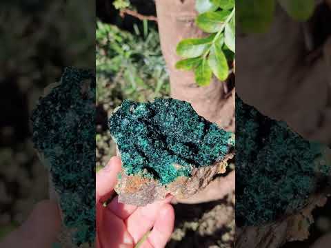 Natural Cabinet Size Crystalline Malachite Specimen x 1 From Tenke Fungurume, Congo