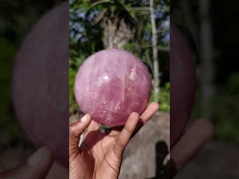 Polished Large Star Rose Quartz Sphere with Wooden Stand x 1 From Ambatondrazaka Madagascar