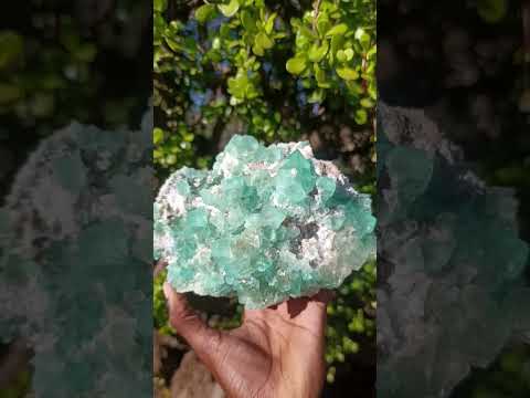 Natural Large Riemvasmaak Bipyramidal Fluorite Specimen x 1 From Riemvasmaak, South Africa