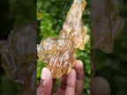 Natural Copal Amber with Insect Inclusions x 1 From Nosy Varika Madagascar
