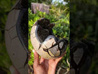 Polished and Natural Septerye Sauvage Dragons Egg x 1 From Mahajanga, Madagascar