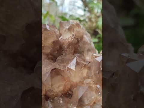 Natural XL Cascading Luena Smokey Citrine White Phantom Quartz Cluster x 1 From Luena, Congo
