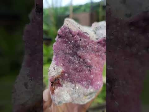 Natural Large Bright Pink Botryoidal Rhombohedral Spherocobaltite Specimen x 1 From Mashamba West Mine, Congo