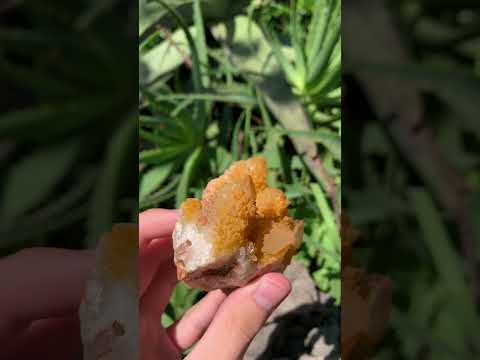 Natural Yellow Solar Spirit Quartz Cluster x 1 From Boekenhouthoek, South Africa