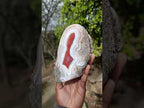 Polished One Side Red Shashe River Agate Nodule x 1 From Shashe River, Zimbabwe