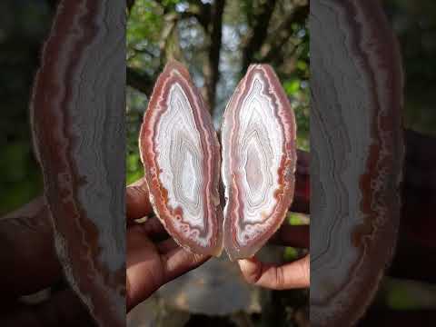 Polished One Side Identical Twin Pair of Red Shashe River Agate Nodules x 1 From Shashe River, Zimbabwe