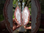 Polished One Side Identical Twin Pair of Red Shashe River Agate Nodules x 1 From Shashe River, Zimbabwe