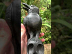Hand Made Black Soapstone Raven on Skull Carving x 1 From Zimbabwe