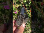 Natural Smokey Morion Self-Healed Quartz Crystal x 1 From Zomba, Malawi