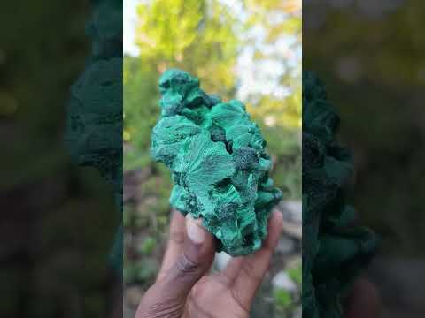 Natural Exquisite Silky Malachite Specimen x 1 From Kasompe, Congo